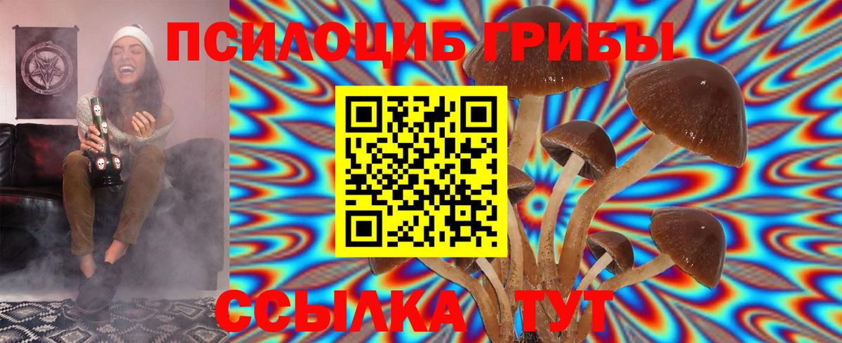 Сосновоборск  Псилоцибиновые грибы мухоморы  Вход с VPN 